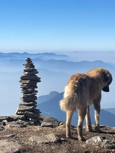 Description of the image